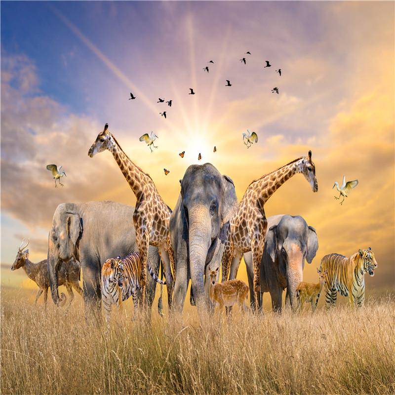 Puzzle 500 Teile Erwachsene Kinder Zusammengebautes Puzzle Kinderspiele Lernspielzeug Puzzle 500 Teile Erwachsene Kinder Zusammengebautes Puzzle Kinderspiele Lernspielzeug von Joom DACH