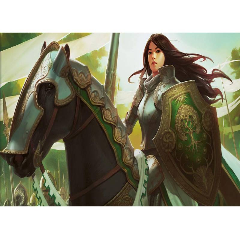 Quadratischer/runder Diamant 5D Diamant Ritter bestickt Kreuzstich Diamant Mosaik Gemälde Dekoration Geschenk Full Round (20X30CM) von Joom DACH