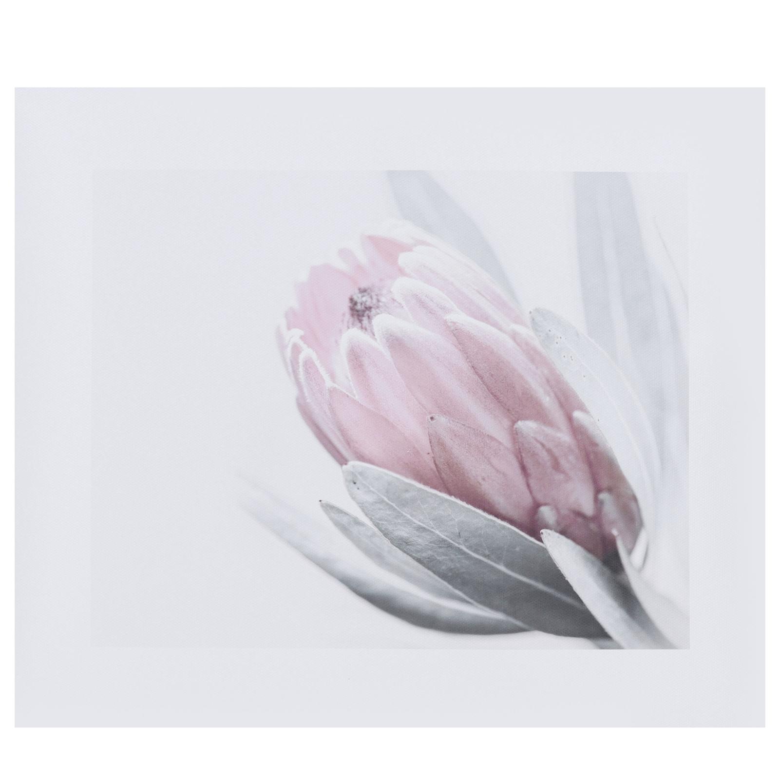 Rahmenloses rosa Blumen Leinwand Wanddekoratives Bild für Schlafzimmer Wohnzimmer Büro Küche von Joom DACH