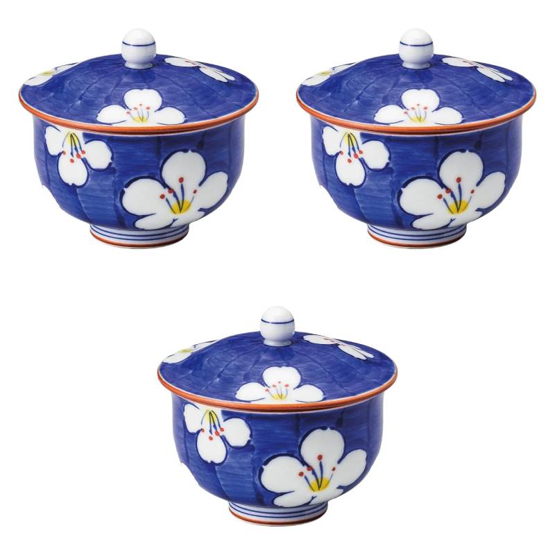 Set aus 3 Hanamiya Teekannen mit Deckel Sencha Arita Ware Setomonohonpo [9×8cm (170 ccm)] (Arita-Ware) von Joom DACH