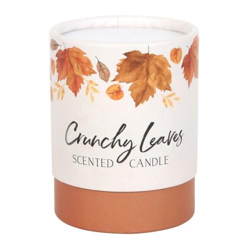 Something Different Herbstliche Crunchy Leaves Duftkerze One Size orange von Joom DACH