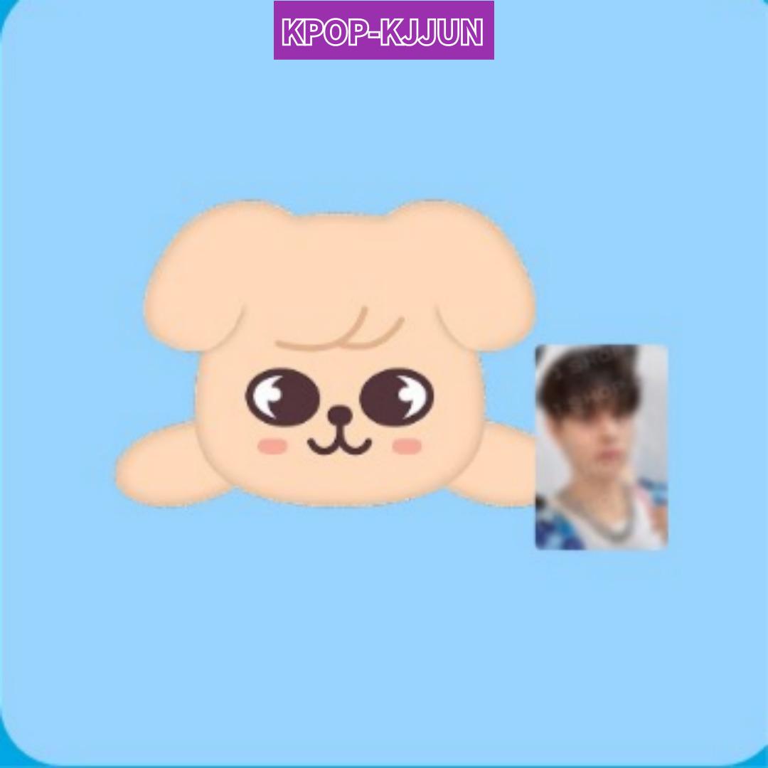 Stray KIds  PuppyM PLÜSCH LIEGEND Ver. von Seungmin 1ea von Joom DACH