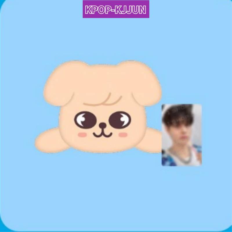 Stray KIds  PuppyM PLÜSCH LIEGEND Ver. von Seungmin 1ea von Joom DACH
