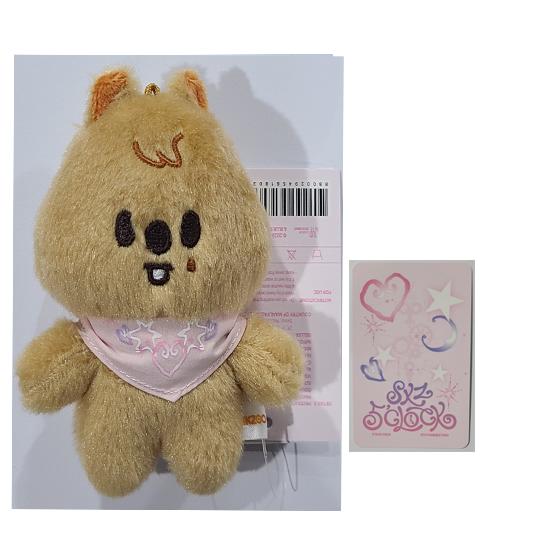 Stray Kids SKZOO PLÜSCH 10CM Ver. - SKZ 5 Uhr von Joom DACH