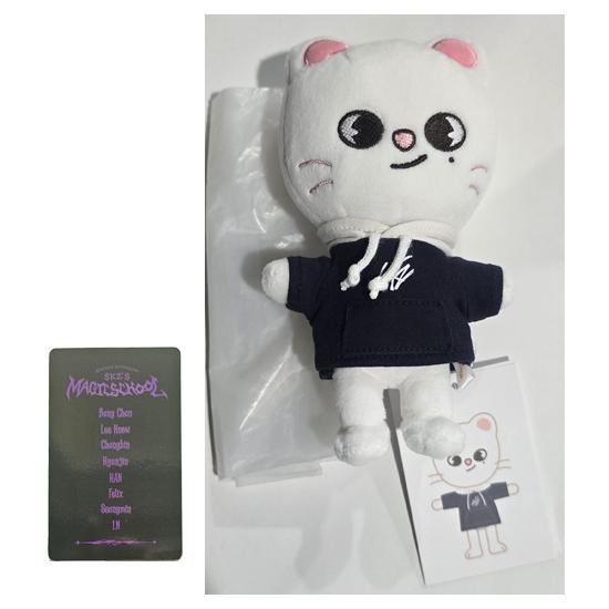 Stray Kids SKZOO Plüsch MINI Ver (Zauberschule) mit zufälligem POB von Joom DACH