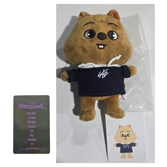 Stray Kids SKZOO Plüsch MINI Ver (Zauberschule) mit zufälligem POB von Joom DACH