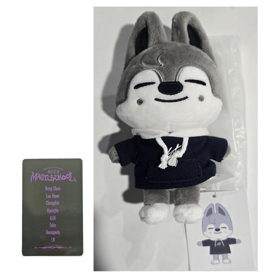 Stray Kids SKZOO Plüsch MINI Ver (Zauberschule) mit zufälligem POB von Joom DACH