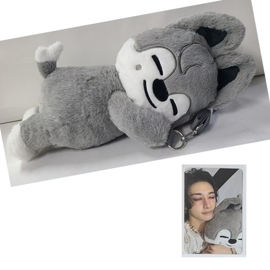 Stray Kids SKZOO Plüschtasche celebrATE ( mit Fotokarte von POP UP) von Joom DACH