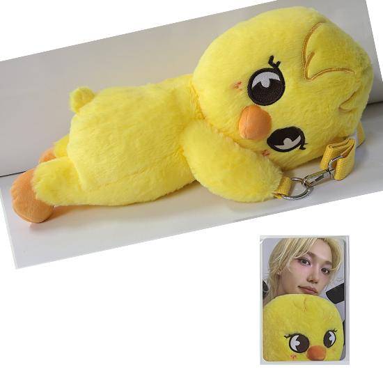 Stray Kids SKZOO Plüschtasche celebrATE ( mit Fotokarte von POP UP) von Joom DACH