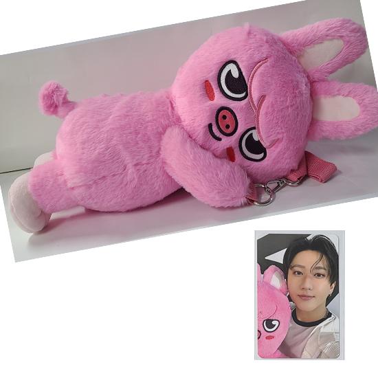 Stray Kids SKZOO Plüschtasche celebrATE ( mit Fotokarte von POP UP) von Joom DACH