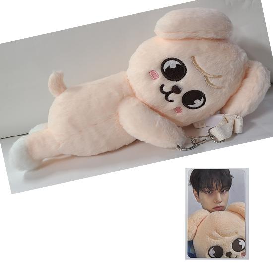 Stray Kids SKZOO Plüschtasche celebrATE ( mit Fotokarte von POP UP) von Joom DACH