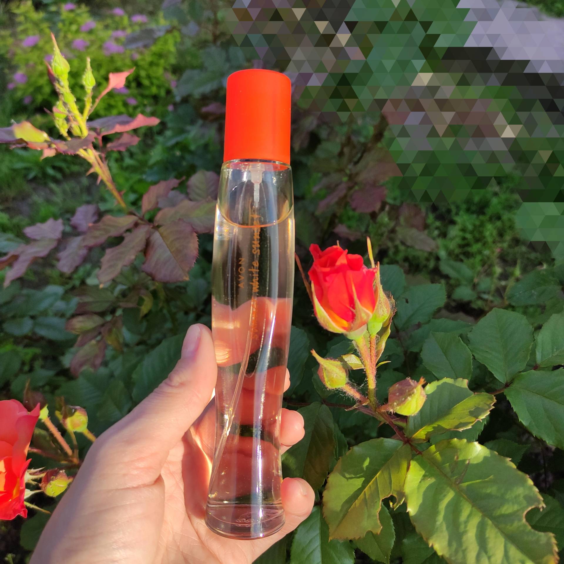 Summer White Sunset Eau de Toilette für sie, 50 ml Summer White Sunset Eau de Toilette für sie, 50 ml von Joom DACH