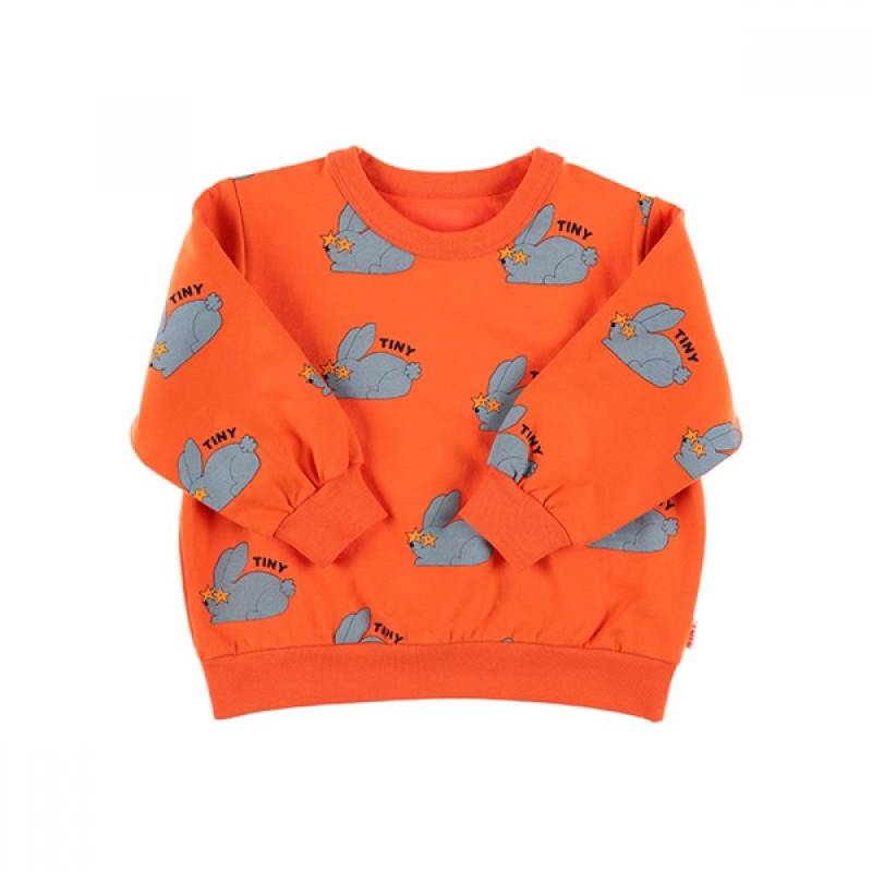 Tiny Cotton Aw24 059 J08  Kaninchen Sweatshirt  Kaninchen Kinder Sweatshirt AW24-059 J08 (8Y) von Joom DACH