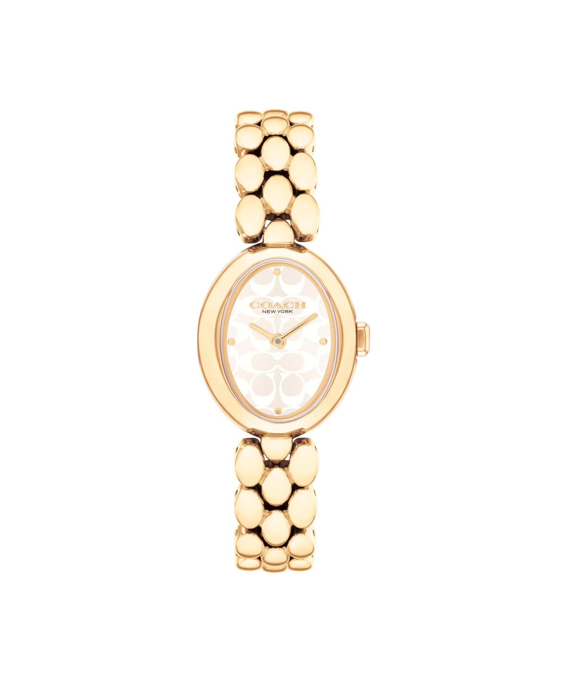 Uhr SAMMY 14504417 Gold [Coach] Damen von Joom DACH