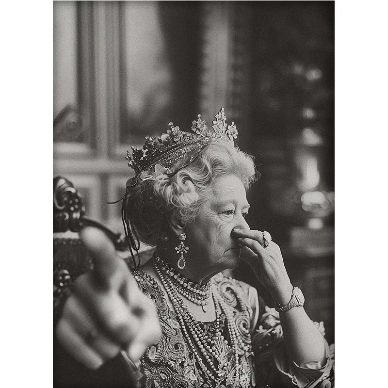 Vintage Königin Porträt Kunst Poster Drucken Toilette Humor Amüsant Wand Bilder Retro Leinwand Dekor Malerei Für Lustige Bar Bad 50*70cm No Frame von Joom DACH