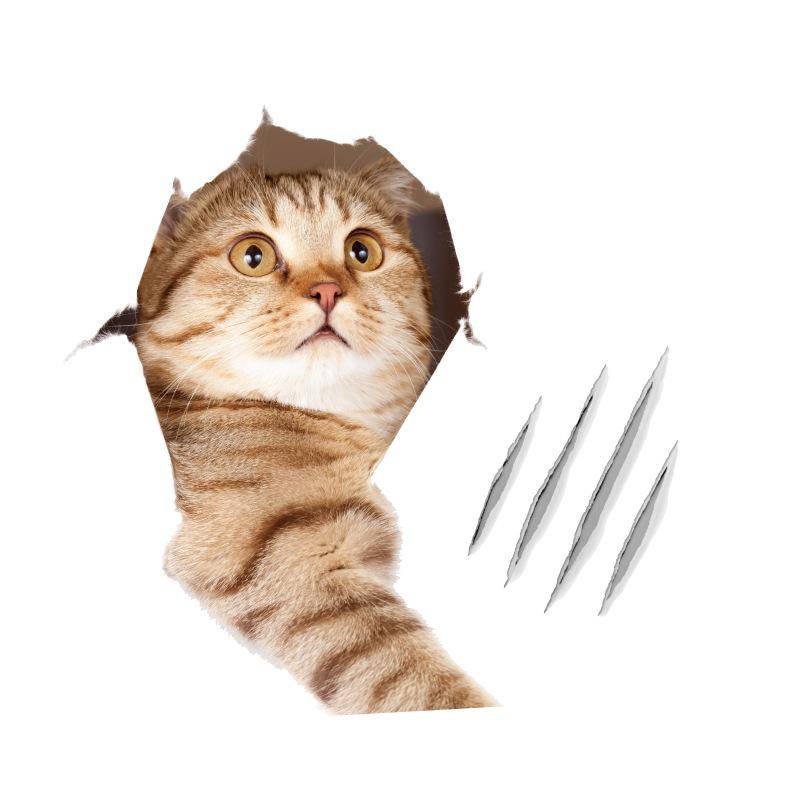 Wandtattoos für Badezimmer, dekorative Tiere, Katzen, Hunde, lebendige Ansicht, Toilettensitz-Aufkleber von Joom DACH