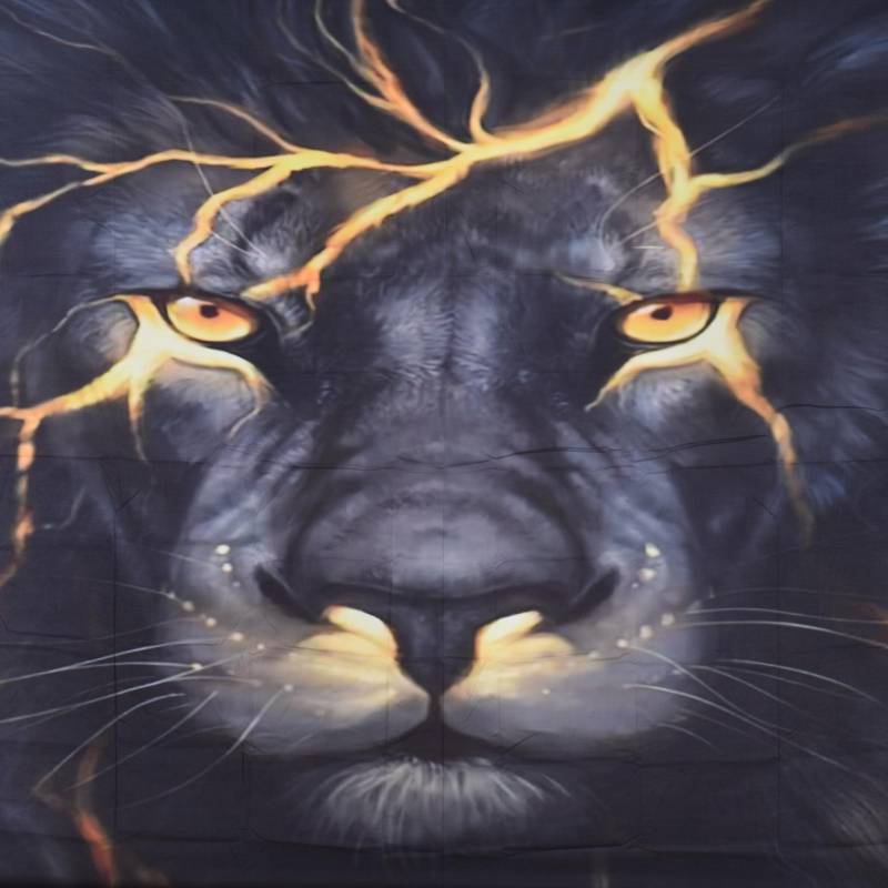 Wandteppich Zimmer Wandhintergrund Hängende Decke Heimparty Dekoration Stoffkunst Wandteppich für Schlafzimmer 110g schwarz von Joom DACH