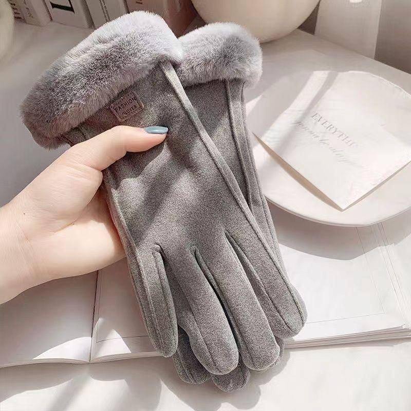 Warme Handschuhe für Damen, Winter, mit Fleece gefüttert, dickes Wildleder, Herbst und Winter, kältebeständig, Touchscreen, neue Fahrrad- und Ski-Reithandschuhe grau von Joom DACH