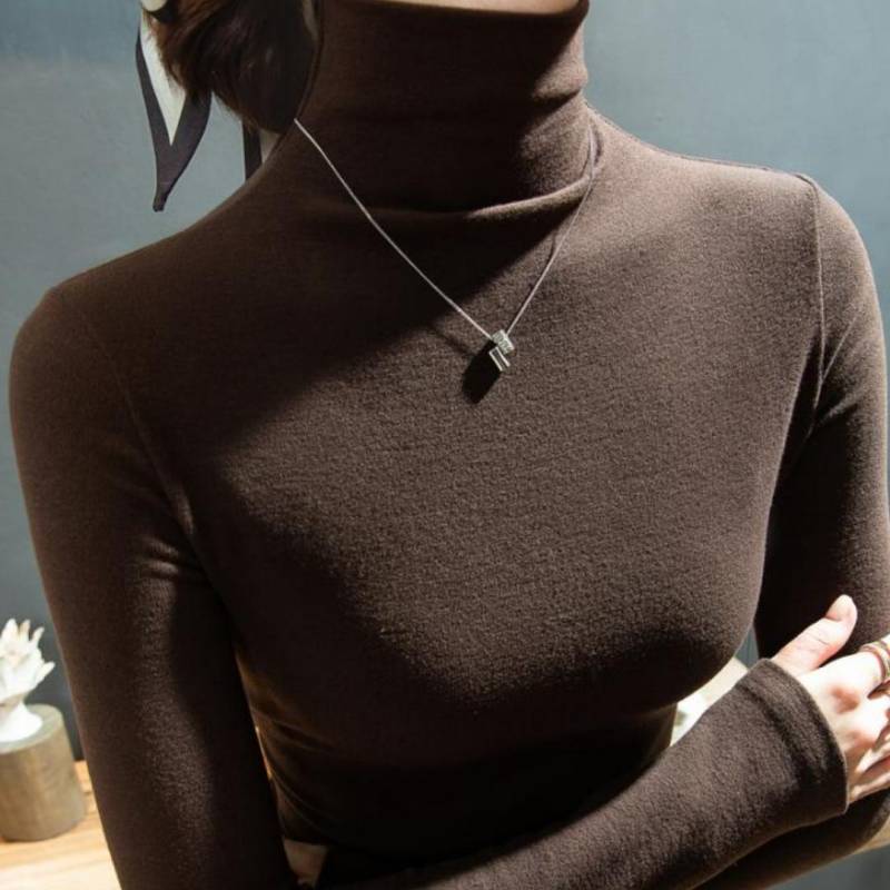 Winter-Damen-warme Bluse, Rollkragenpullover, dickes Bodenshirt für Damen 2XL kaffeebraun von Joom DACH