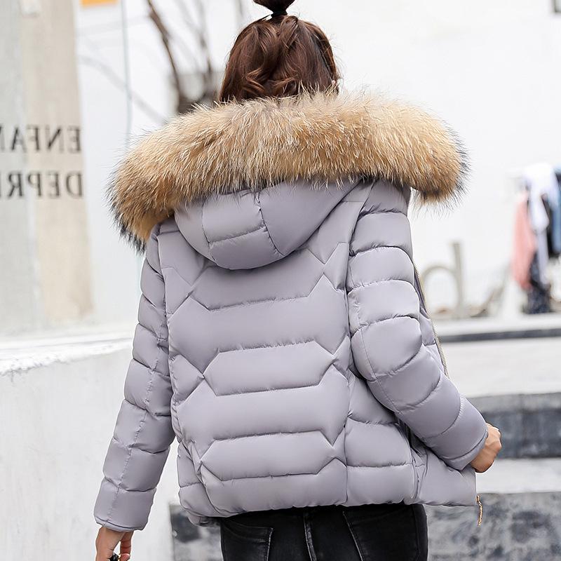 Winter und Herbst Winter Short Style Damen tragen Parkas Outwear Damen Mäntel Künstlicher Waschbärpelzkragen Winterjacke L von Joom DACH