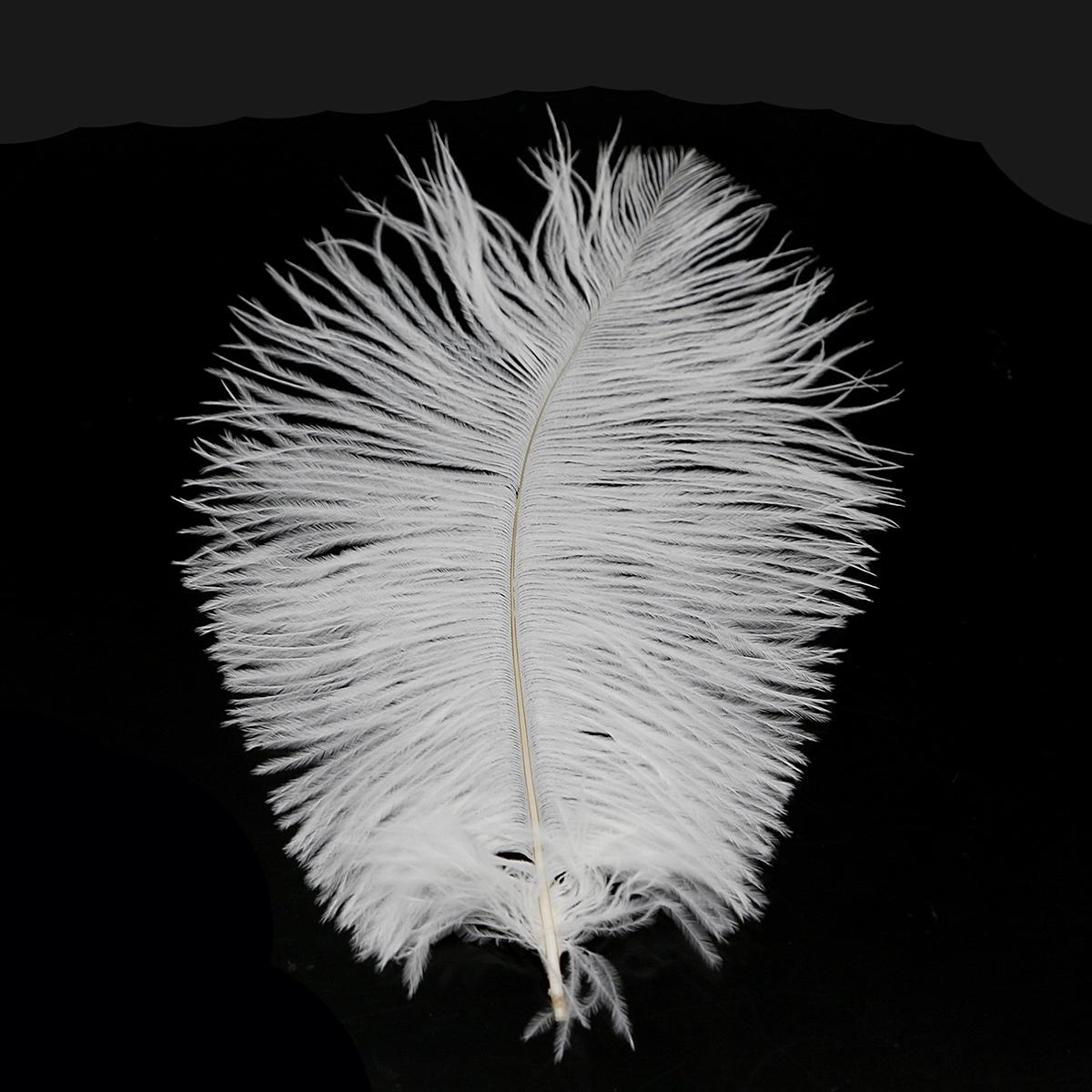 Wunderschöne Straußenfedern für DIY-Schmuck, Basteln, Hochzeit, Party, Dekoration, Zubehör, Hochzeitsdekoration 20-25cm 5pcs weiß von Joom DACH