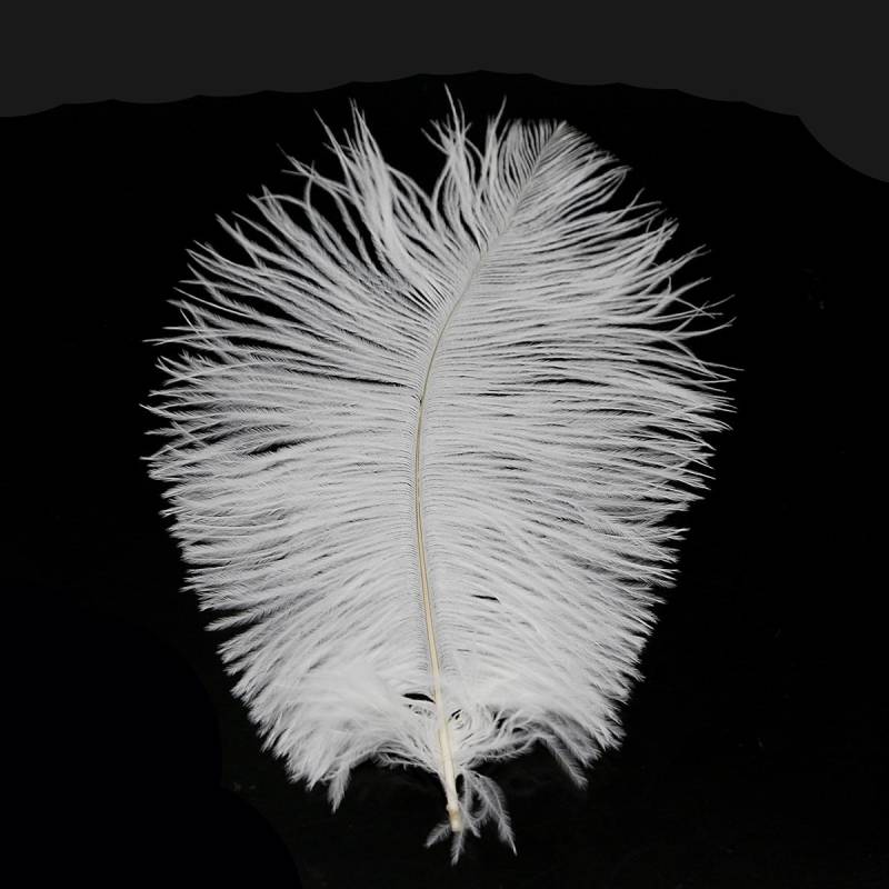 Wunderschöne Straußenfedern für DIY-Schmuck, Basteln, Hochzeit, Party, Dekoration, Zubehör, Hochzeitsdekoration 20-25cm 5pcs weiß von Joom DACH
