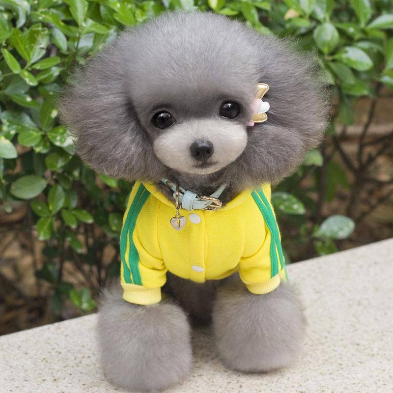 XS-XXL Haustier Hund Kleidung Warme Hund Overall Katze Welpen Pyjamas Kleidung Verdicken Haustier Hoodie Mantel Outfit Für Hunde XS gelb XS-XXL Haustier Hund Kleidung Warme Hund Overall Katze Welpen Pyjamas Kleidung Verdicken Haustier Hoodie Mantel Outfit Für Hunde XS gelb von Joom DACH