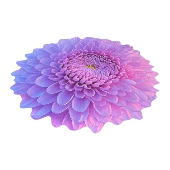 Yousheng Kieselgur Fußmatte 3D Realistisches Blumendesign Rutschfest Saugfähig Badematte Schnelltrocknend Weicher Teppich 80 cm von Joom DACH