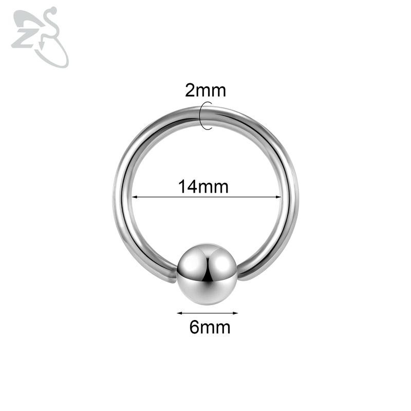 ZS 1 Stück 2/4/6/8G Nasenring aus rostfreiem Stahl in Hufeisenform für Männer mit Innengewinde und großem Durchmesser, Ohr-Expander-Septum-Piercing Style 1 von Joom DACH