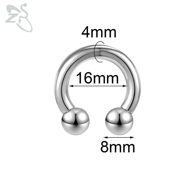 ZS 1 Stück 2/4/6/8G Nasenring aus rostfreiem Stahl in Hufeisenform für Männer mit Innengewinde und großem Durchmesser, Ohr-Expander-Septum-Piercing Style 10 von Joom DACH