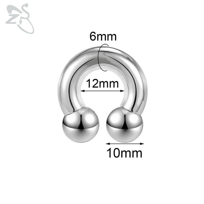 ZS 1 Stück 2/4/6/8G Nasenring aus rostfreiem Stahl in Hufeisenform für Männer mit Innengewinde und großem Durchmesser, Ohr-Expander-Septum-Piercing Style 13 von Joom DACH