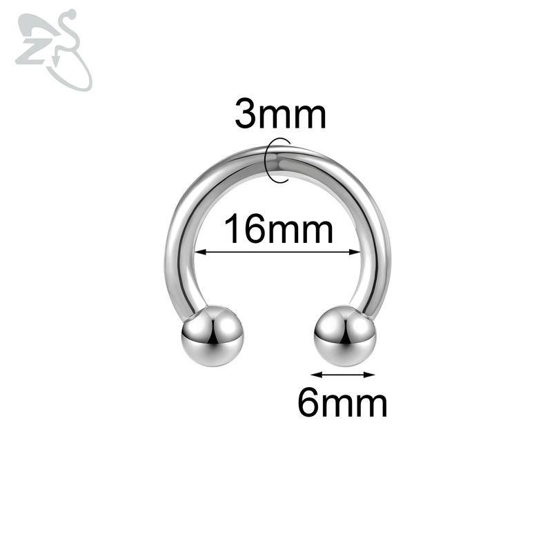 ZS 1 Stück 2/4/6/8G Nasenring aus rostfreiem Stahl in Hufeisenform für Männer mit Innengewinde und großem Durchmesser, Ohr-Expander-Septum-Piercing Style 8 von Joom DACH