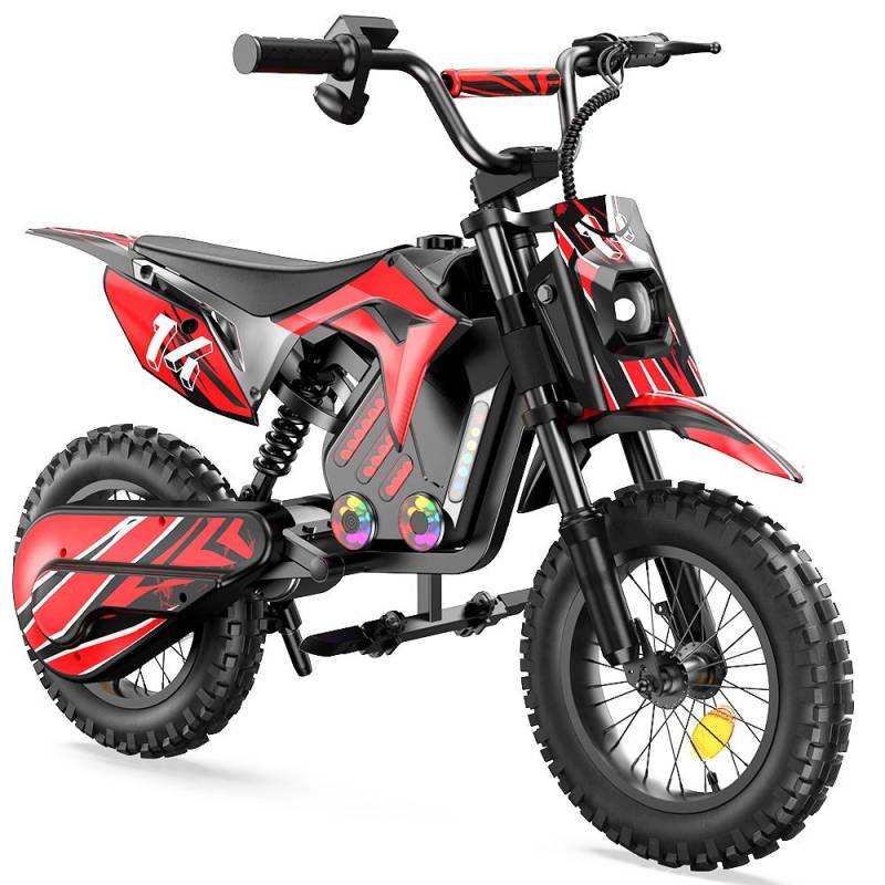 iScooter A14 Kinder-Elektromotorrad 36V5.2Ah Batterie 500W Motor 14 Zoll Reifen Mit Vorder- und Hinterrad-Doppelstoßdämpfung rot von Joom DACH