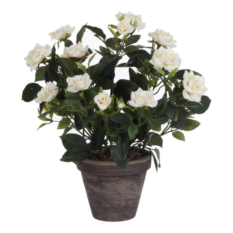 weißer PVC-Rosenstrauch mit grauem Topf von Joom DACH