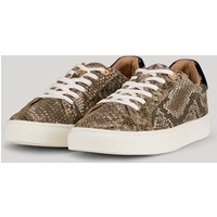 Sneaker Serpente Misto Coralie in Greige von Joop!