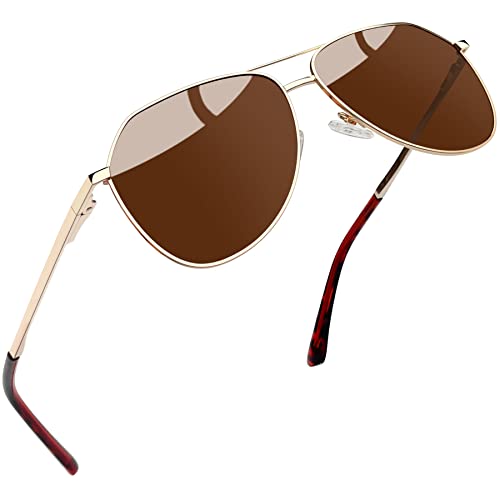 Joopin Große Sonnenbrille Damen Braun Retro Polarisierte Sonnenbrille Herren Vintage UV400 mit Metallrahmen und Sunglasses Men Women for Driving (Gold-Braun) Joopin Große Sonnenbrille Damen Braun Retro Polarisierte Sonnenbrille Herren Vintage UV400 mit Metallrahmen und Sunglasses Men Women for Driving (Gold-Braun) von Joopin