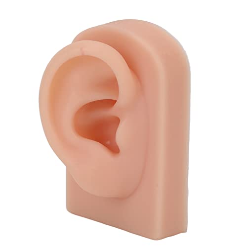 Ohrmodell, Rechtes Ohr, Wiederverwendbares Gefälschtes Ohrmodell, Flexibel für Kopfhörer-Display für Praktisches Akupunktur-Training (#2) von Jopwkuin
