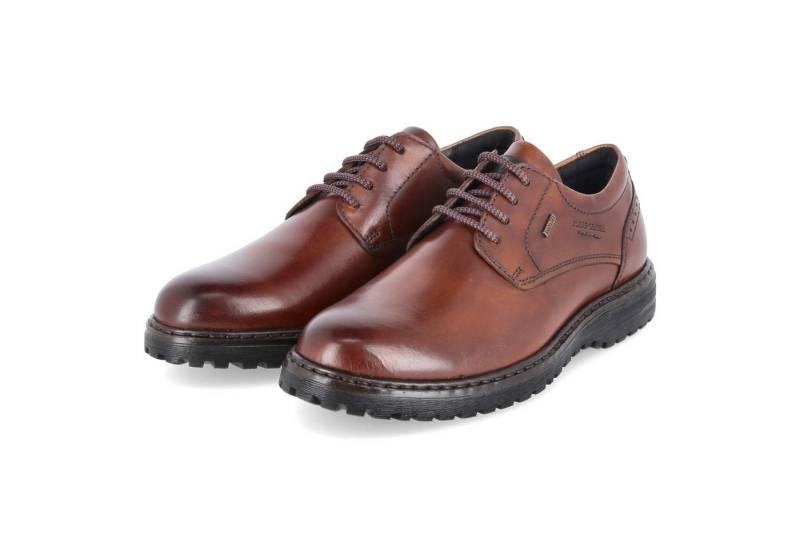 Josef Seibel Josef Seibel 42950TE859/370 Herren Glattleder braun Schnürschuh von Josef Seibel
