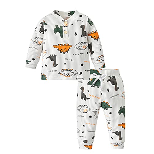 Joureker Baby Jungen Kleidung Kleinkind Dinosaurier Print Langarm Tops Hosen Outfits Sets, Weiß, 18-24 Monate von Joureker