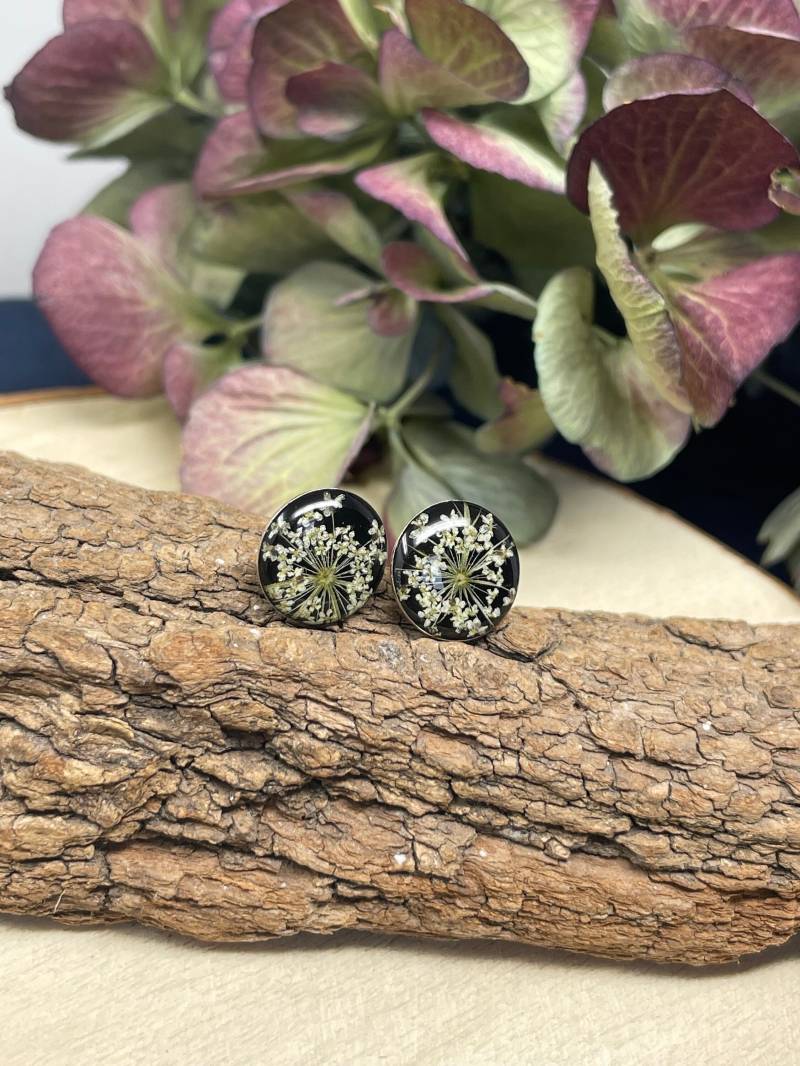 sterling Silber Ohrstecker 12mm Mit Wilder Möhre Auf Schwarzem Untergrund von JuLieSchmuckdesign