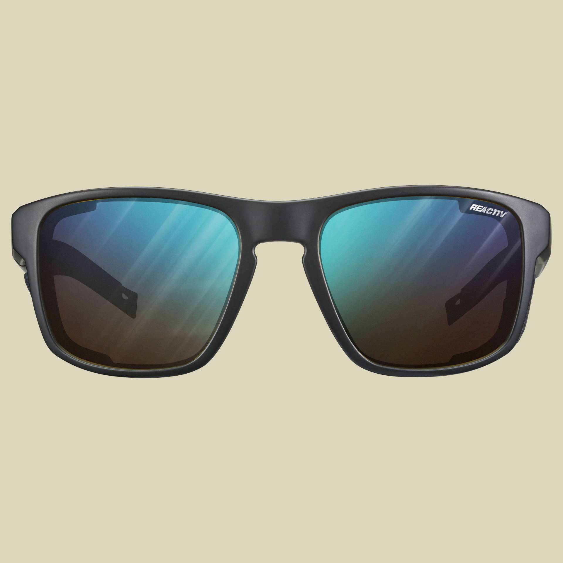 Shield M Reactiv 2-4 Farbe: schwarz/schwarz von Julbo