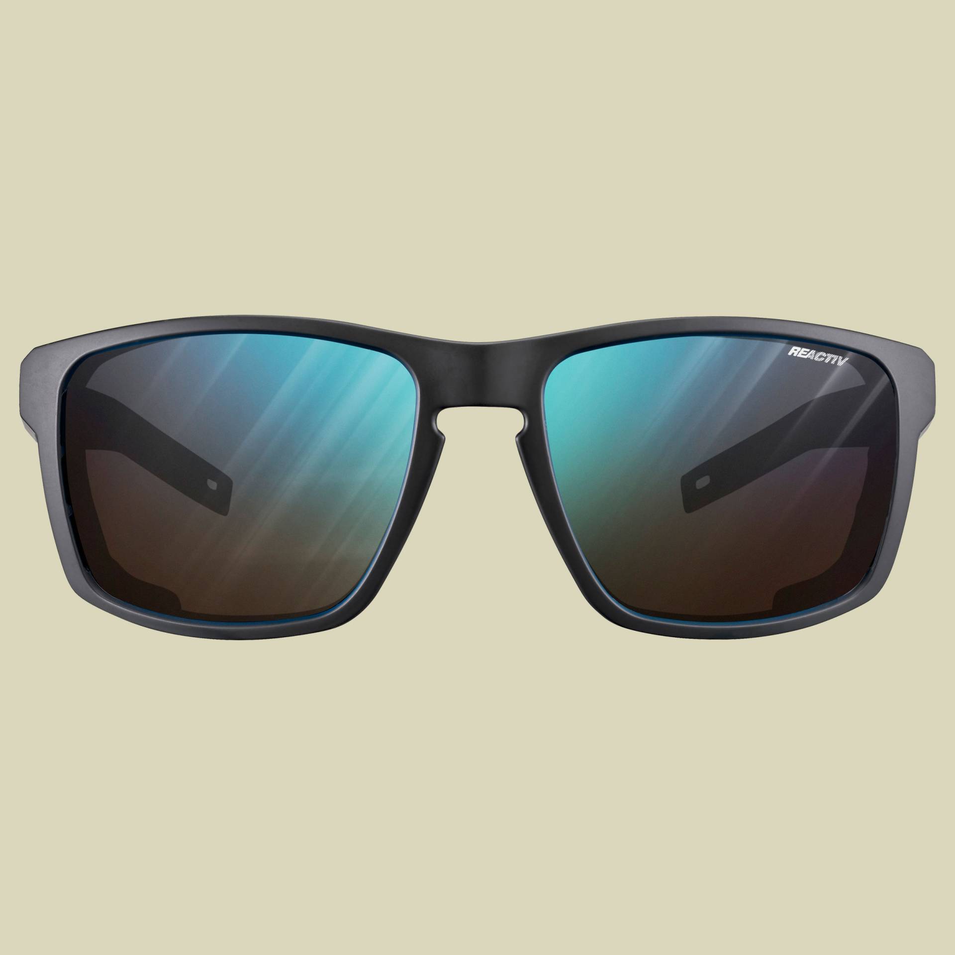 Shield Reactiv 2-4 Farbe: schwarz/schwarz von Julbo