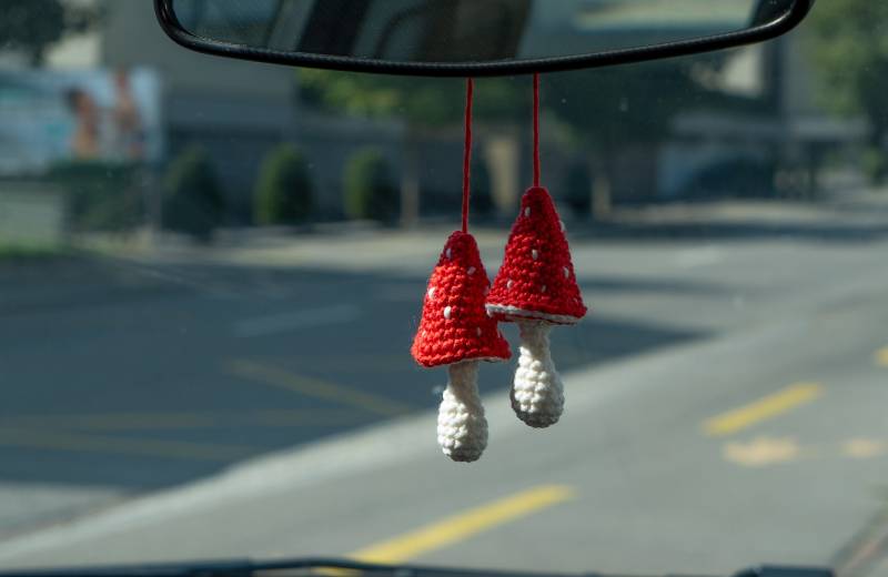 Handgemachte Gehäkelte Pilze | 2 Stück - Amigurumi Glücksbringer, Auto-Deko, Geschenkidee Handgemachte Gehäkelte Pilze | 2 Stück - Amigurumi Glücksbringer, Auto-Deko, Geschenkidee von JuliaKonstanzDe