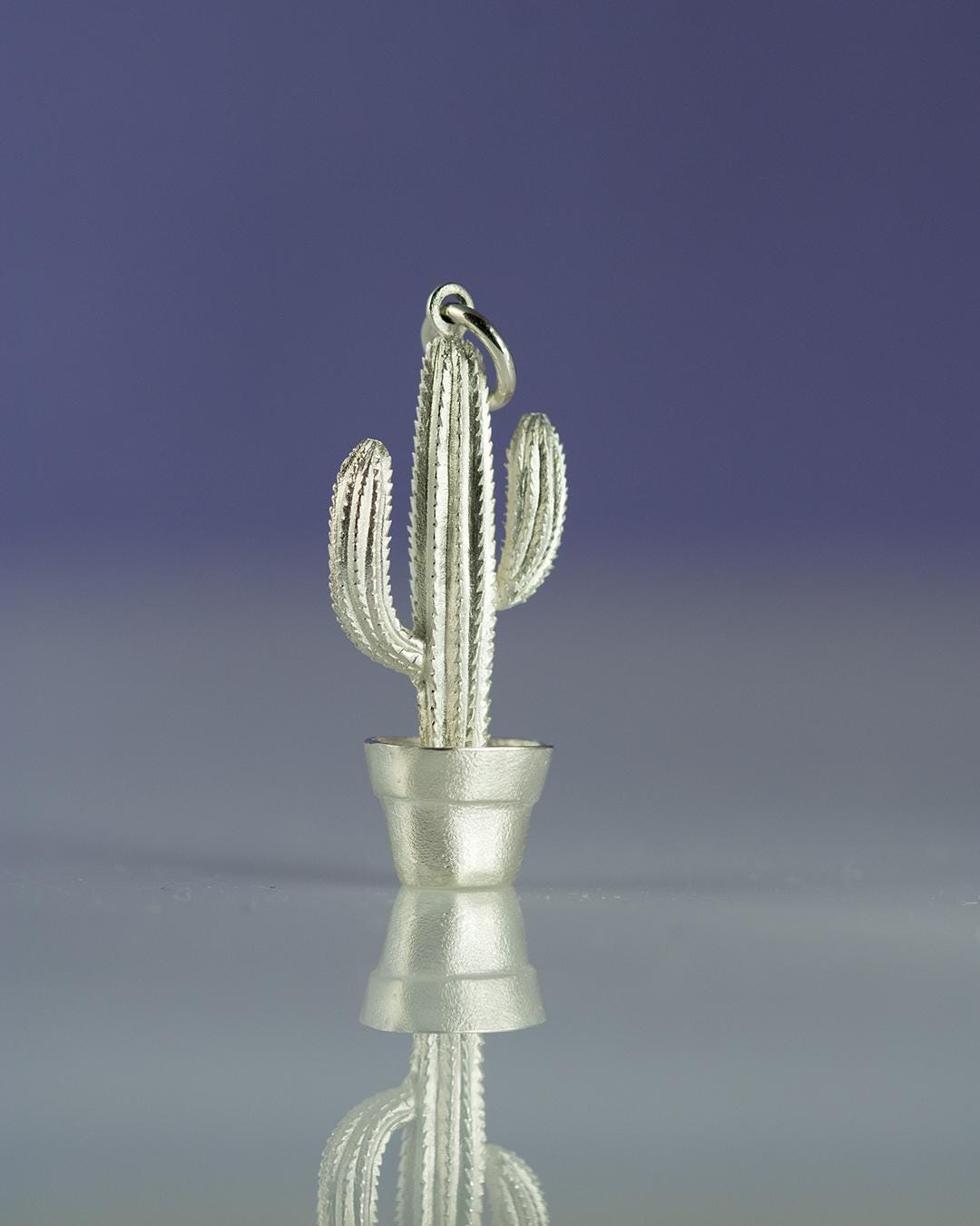 Anhänger Silber Kaktus Silberanhänger Für Kakteenfreund Handarbeit Von Goldschmied Angefertigt Echt 925 Kakteenschmuck Ausgefallen von GoldLinien