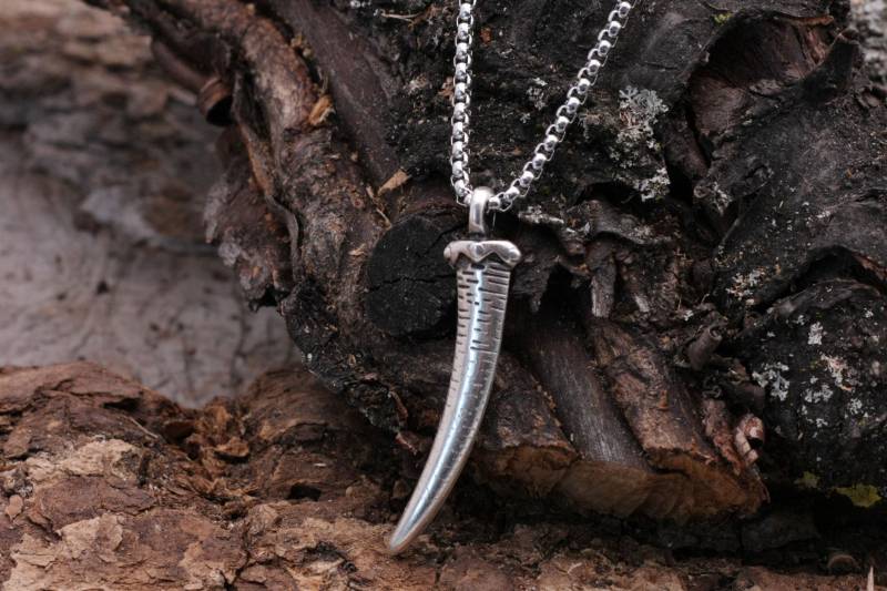 Herren Halskette Mit Zahn - Anhänger Herrenkette Silber Edelstahl Metall Schmuck Geschenk Für Männer Silberkette von JulusJason