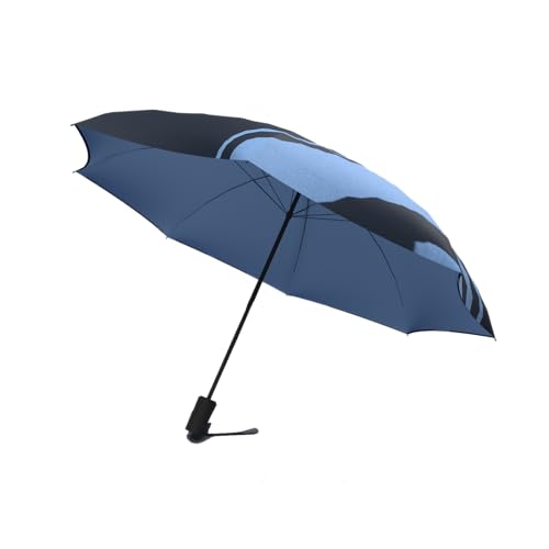 Jumble & Co Ups & Downs Regenschirm – kompakter, starker, wasserdichter Automatikschirm, blau, 30 cm, Kompakter, starker, wasserdichter Automatikschirm mit verschiedenen Designs oben und unten von Collins