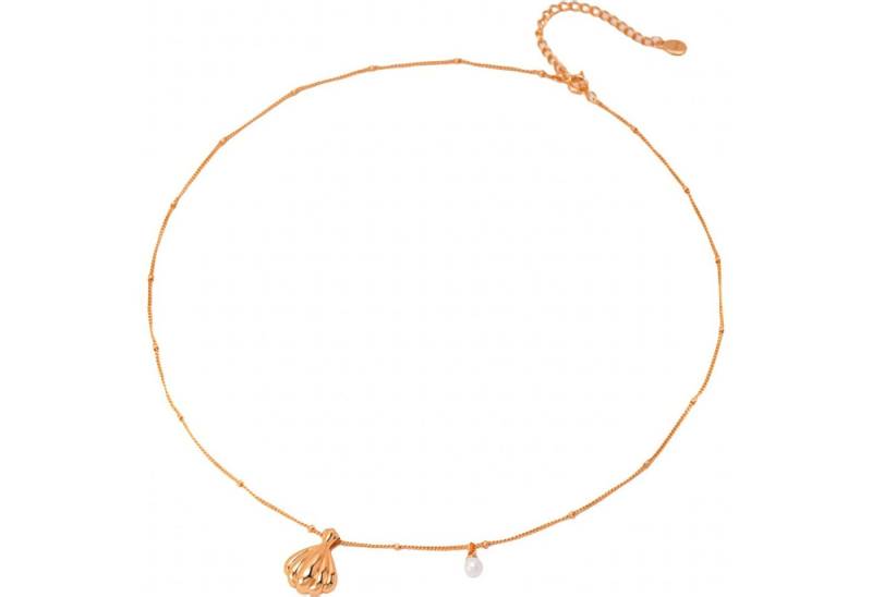 Jumpeak Silberkette Damen-Muschel-Anhänger, Silberkette, Geschenkidee für Frauen, Damen Silber Halskette, 18K vergoldet, valentinstag geschenk für sie von Jumpeak