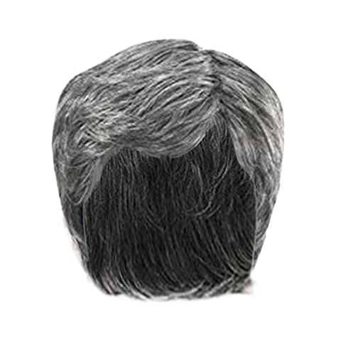 Dunkelbraune Perücke Herrenperücke mit Perückennetz Naturweißes Haar Graue und silberne Haarfarbe Wärmeperücke Größenverstellbar Kostüm Damen Karneval (White-1, One Size) von Junhasgood