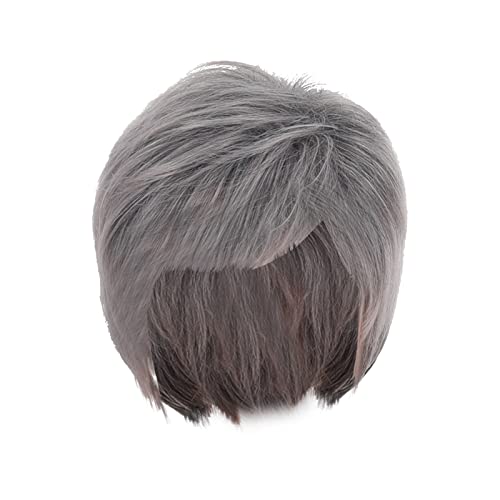 Karneval Perücke Männer Mode Damenperücke Silber Grau Kurzes Glattes Haar Hochtemperatur Seide Kopfbedeckung Perücke Perücke Rot Schwarz Kurz (Grey-7, One Size) von Junhasgood