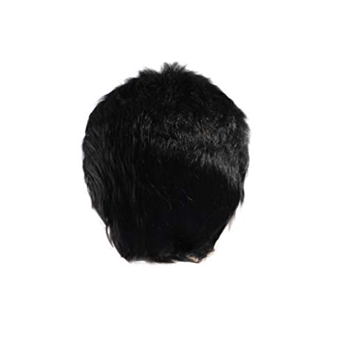 Perücke Rotbraun Kurz Perücke kurz Partyhaar perfekt Mode Festival Cosplay für Karneval Gentleman Perücke Cosplay Damen Perücke (Black, One Size) von Junhasgood